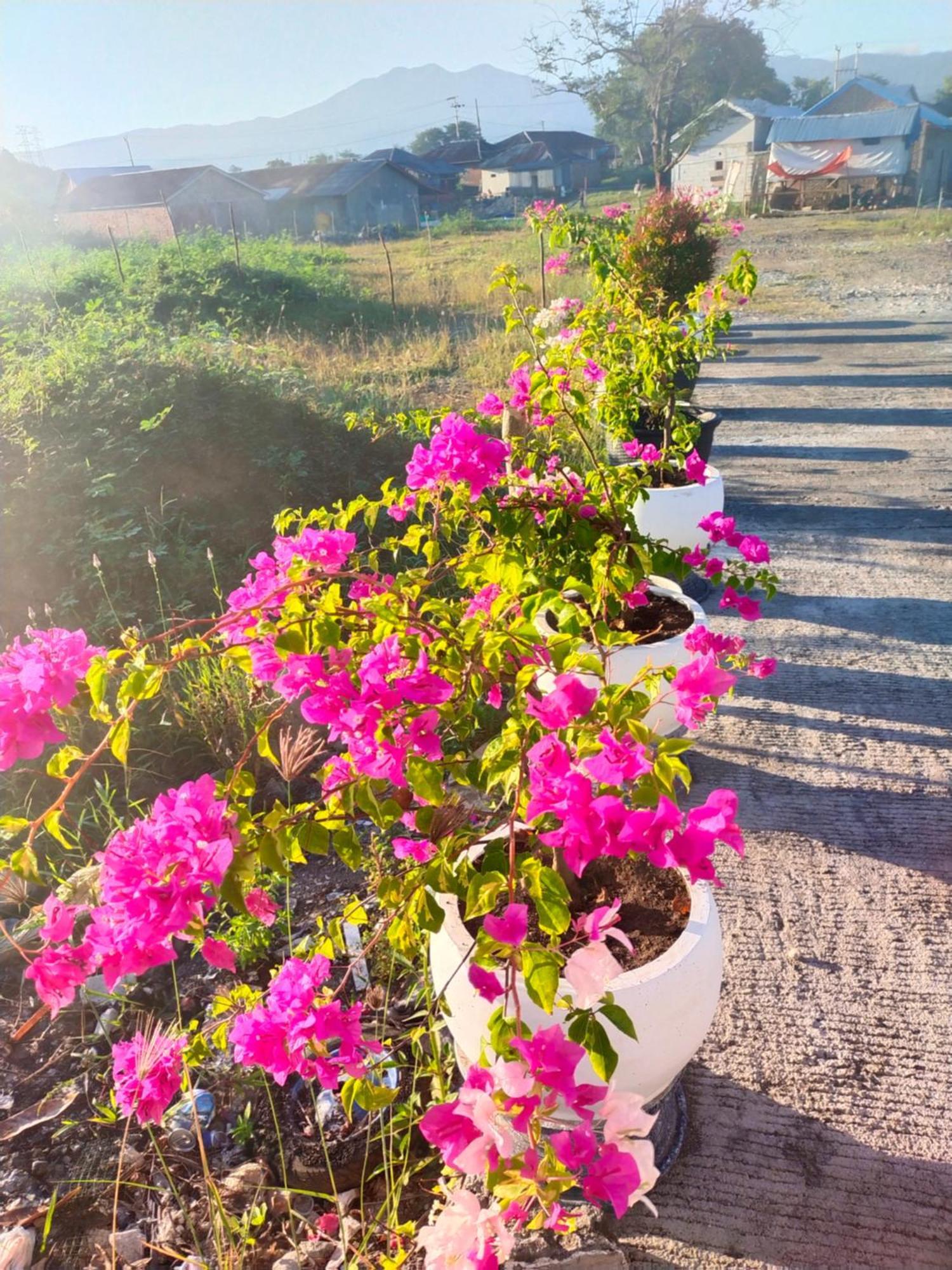La Geiro Villa Labuan Bajo Zewnętrze zdjęcie