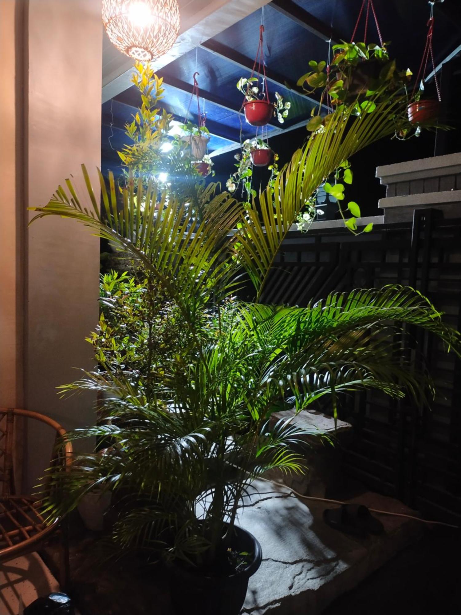 La Geiro Villa Labuan Bajo Zewnętrze zdjęcie